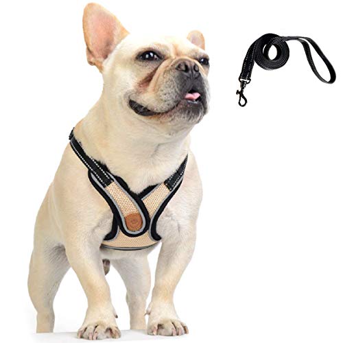 DD Hundegeschirr mit Leine, Einstellbar Hund Weste, Weiches Mesh Katzen Hunde Welpen Geschirr und Leine Set DD Hundegeschirr mit Leine, Einstellbar Hund Weste, Weiches Mesh Katzen Hunde Welpen Geschirr und Leine Set von DD