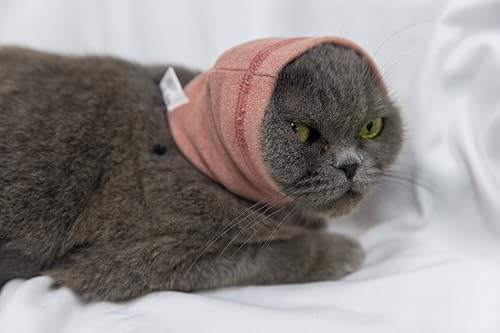 DDFS Ohrenschutz für Katzen, leise, Ohrenklappe, Kopfwickel, ohne Klappe, Ohrwickel, beruhigend bei Geräuschunterdrückung, Rosa, Größe S DDFS Ohrenschutz für Katzen, leise, Ohrenklappe, Kopfwickel, ohne Klappe, Ohrwickel, beruhigend bei Geräuschunterdrückung, Rosa, Größe S von DDFS