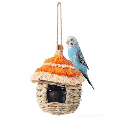Kolibri-Häuser für den Außenbereich, Naturgras, hängend, Vogelhütte, handgefertigt, Stroh, Vogelnest, B7 Kolibri-Häuser für den Außenbereich, Naturgras, hängend, Vogelhütte, handgefertigt, Stroh, Vogelnest, B7 von DDMDBYHRY