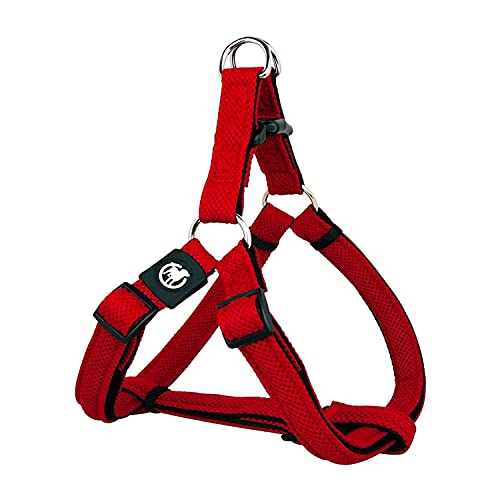 DDOXX Hundegeschirr Air Mesh, Step-In, verstellbar, gepolstert | viele Farben & Größen | für kleine, mittlere & große Hunde | Brust-Geschirr Hund Katze Welpe groß | Katzen-Geschirr klein | Rot, M DDOXX Hundegeschirr Air Mesh, Step-In, verstellbar, gepolstert | viele Farben & Größen | für kleine, mittlere & große Hunde | Brust-Geschirr Hund Katze Welpe groß | Katzen-Geschirr klein | Rot, M von DDOXX