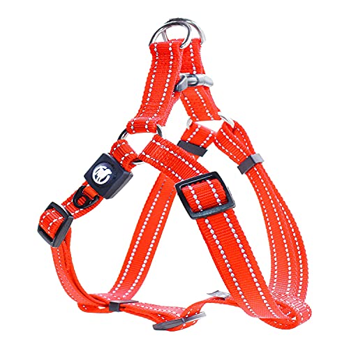 DDOXX Reflektierendes Nylon Step-In Hundegeschirr - Verstellbare Brust Welpengeschirr für alle Größen - L (Orange) DDOXX Reflektierendes Nylon Step-In Hundegeschirr - Verstellbare Brust Welpengeschirr für alle Größen - L (Orange) von DDOXX