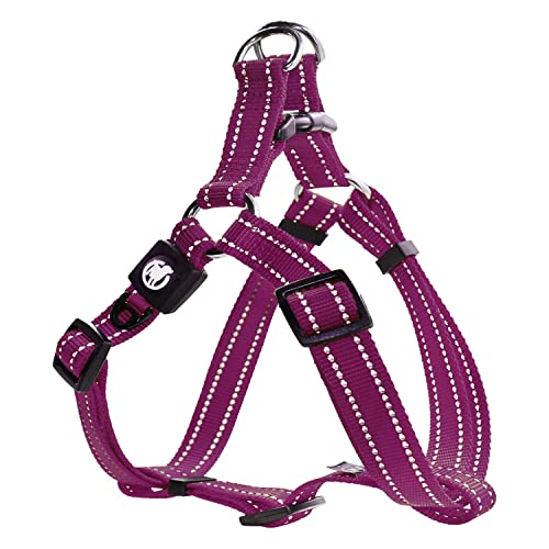 DDOXX Reflektierendes Nylon Step-In Sicherheit Hundegeschirr - Verstellbare Ausbruchsichere Brust Welpengeschirr, Hundesicherheitsgeschirr - XXS (Lila), halti für Hunde DDOXX Reflektierendes Nylon Step-In Sicherheit Hundegeschirr - Verstellbare Ausbruchsichere Brust Welpengeschirr, Hundesicherheitsgeschirr - XXS (Lila), halti für Hunde von DDOXX