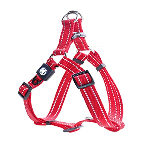 DDOXX Reflektierendes Nylon Step-In Hundegeschirr - Verstellbare Brust Welpengeschirr für alle Größen - XXS (Rot) DDOXX Reflektierendes Nylon Step-In Hundegeschirr - Verstellbare Brust Welpengeschirr für alle Größen - XXS (Rot) von DDOXX