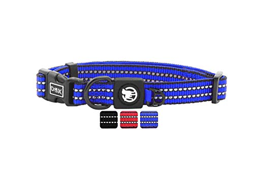 DDOXX Reflektierendes Nylon Hundehalsband - Stabiles und Verstellbares Welpenhalsband für alle Größen - L (Blau mit Neopren) von DDOXX