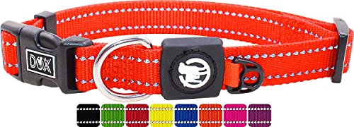DDOXX Reflektierendes Nylon Hundehalsband - Stabiles und Verstellbares Welpenhalsband für alle Größen - L (Orange) DDOXX Reflektierendes Nylon Hundehalsband - Stabiles und Verstellbares Welpenhalsband für alle Größen - L (Orange) von DDOXX