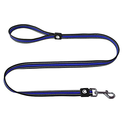 DDOXX Reflektierende Airmesh Hundeleine - 120 cm, Training Führleine Hund mit gepolsterter Handschlaufe für alle Hundegrößen - S (Blau) von DDOXX