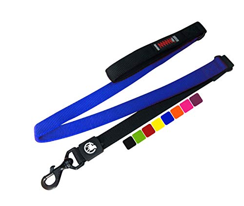 DDOXX Bungee Nylon Hundeleine - 120 cm Stoßfeste Hundeleine mit gepolsterter Handschlaufe für alle Hundegrößen - (Blau) DDOXX Bungee Nylon Hundeleine - 120 cm Stoßfeste Hundeleine mit gepolsterter Handschlaufe für alle Hundegrößen - (Blau) von DDOXX