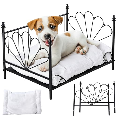 DDOXX Orthopädisches Hundebett - Erhöhte Liegefläche aus strapazierfähigem Kunststoff - Orthopädische Einstiegshilfe - Leicht zu reinigen - 55cmx38cmx33cm - Dog Bed - Schwarz DDOXX Orthopädisches Hundebett - Erhöhte Liegefläche aus strapazierfähigem Kunststoff - Orthopädische Einstiegshilfe - Leicht zu reinigen - 55cmx38cmx33cm - Dog Bed - Schwarz von DDOXX