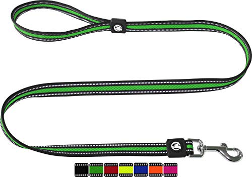 DDOXX Reflektierende Airmesh Hundeleine - 120 cm, Training Führleine Hund mit gepolsterter Handschlaufe für alle Hundegrößen - S (Grün) von DDOXX