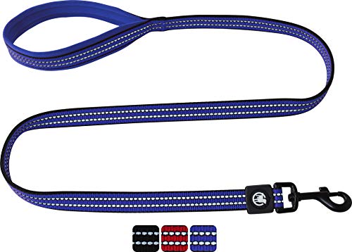 DDOXX Reflektierende Nylon Hundeleine - 120 cm, Training Führleine Hund mit gepolsterter Handschlaufe für alle Hundegrößen - L (Blau) von DDOXX