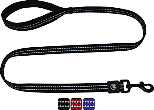 DDOXX Reflektierende Nylon Hundeleine - 120 cm, Training Führleine Hund mit gepolsterter Handschlaufe für alle Hundegrößen - L (Schwarz) von DDOXX