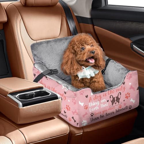 Hunde-Autositze für kleine, mittelgroße Hunde, Autositz für Auto, lustig, flauschig, für Welpen unter 14 kg, mit weichem Plüschkissen und waschbarem, abnehmbarem Bezug von DDPODNQAK