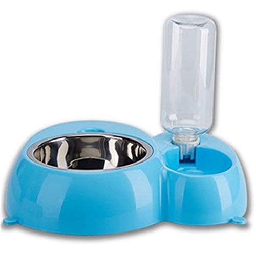 2 In 1 Wasser Lebensmittel Hundenapf Edelstahl Ab Kat Container Doppel Haustier-Zufuhren Automatische Interactive Feeding Metall Trinkflasche Durable (Color : A Large Blue) von DDSP