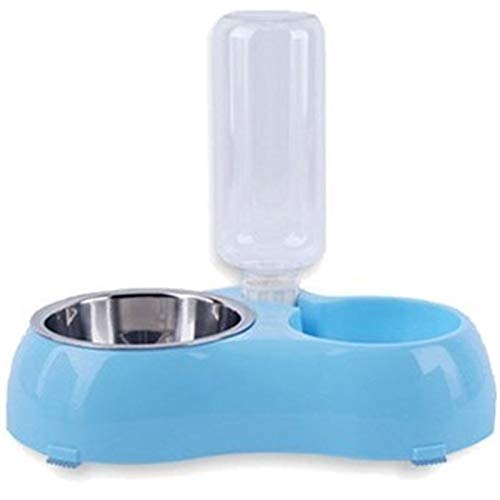 2 In 1 Wasser Lebensmittel Hundenapf Edelstahl Ab Kat Container Doppel Haustier-Zufuhren Automatische Interactive Feeding Metall Trinkflasche Durable (Color : A small Blue) von DDSP