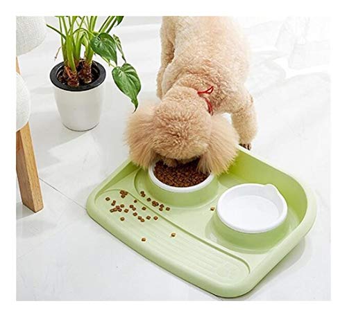 Hundenäpfe-Tränkenäpfe for Hundekatzen-Haustiernahrungsschüssel Durable (Color : Green) von DDSP