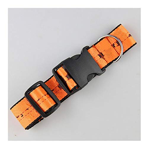 Lovely Halsband Leine for Hunde Haustiere Hund Sicherheitsgurt Sicherheitsgurt Haustier Leine for kleine, mittelgroße Hunde (Color : Orange, Size : Safety Seat Belt) von DDSP