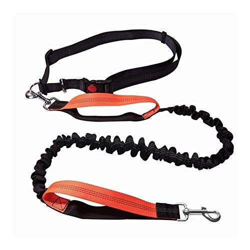 Lovely Hundeleine Laufen Elastizität Handfrei Haustierprodukte Hundegeschirr Halsband Leine und verstellbares Taillenseil (Color : Back and Orange, Size : L) von DDSP
