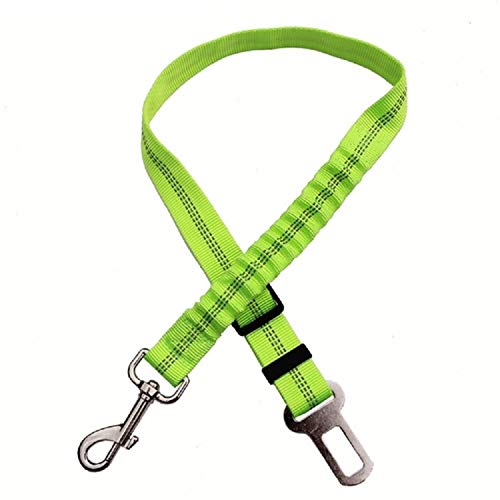 Lovely Nylon Reflektierende Versenkbare Elastische Haustier Hund Sicherheitsgurt Hundewelpe Auto Sicher Gurtband Hundegehende Leine Führt Zugseil Kette (Color : Green, Size : Dog Seat Belt) von DDSP