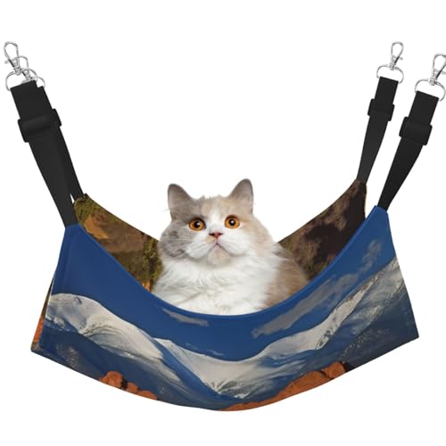 DDTKLSNV Atmungsaktive Sommer-Hängematte für Katzen, hängend, Haustierkäfig-Hängematte, Bett, verstellbar, weich, für Katzen, kleine Hunde, Kaninchen, Größe M DDTKLSNV Atmungsaktive Sommer-Hängematte für Katzen, hängend, Haustierkäfig-Hängematte, Bett, verstellbar, weich, für Katzen, kleine Hunde, Kaninchen, Größe M von DDTKLSNV