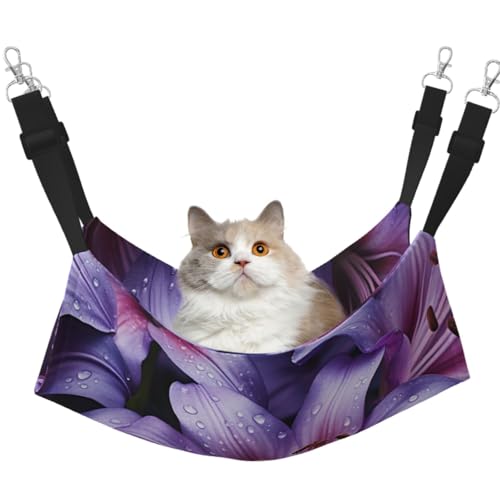 DDTKLSNV Atmungsaktive Sommer-Hängematte für Katzen, hängend, Haustierkäfig-Hängematte, Bett, verstellbar, weich, für Katzen, kleine Hunde, Kaninchen, Größe M DDTKLSNV Atmungsaktive Sommer-Hängematte für Katzen, hängend, Haustierkäfig-Hängematte, Bett, verstellbar, weich, für Katzen, kleine Hunde, Kaninchen, Größe M von DDTKLSNV