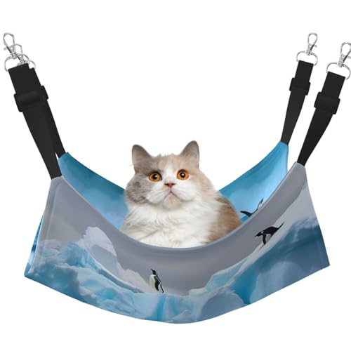 DDTKLSNV Atmungsaktive Sommer-Hängematte für Katzen, hängend, Haustierkäfig-Hängematte, Bett, verstellbar, weich, für Katzen, kleine Hunde, Kaninchen, Größe M DDTKLSNV Atmungsaktive Sommer-Hängematte für Katzen, hängend, Haustierkäfig-Hängematte, Bett, verstellbar, weich, für Katzen, kleine Hunde, Kaninchen, Größe M von DDTKLSNV