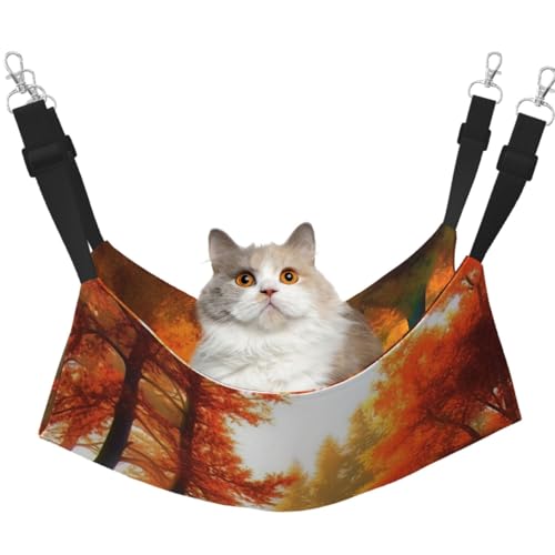 DDTKLSNV Atmungsaktive Sommer-Hängematte für Katzen, hängend, Haustierkäfig-Hängematte, Bett, verstellbar, weich, für Katzen, kleine Hunde, Kaninchen, Größe M DDTKLSNV Atmungsaktive Sommer-Hängematte für Katzen, hängend, Haustierkäfig-Hängematte, Bett, verstellbar, weich, für Katzen, kleine Hunde, Kaninchen, Größe M von DDTKLSNV