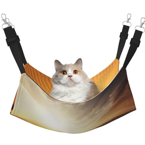 DDTKLSNV Atmungsaktive Sommer-Hängematte für Katzen, hängend, Haustierkäfig-Hängematte, Bett, verstellbar, weich, für Katzen, kleine Hunde, Kaninchen, Größe M DDTKLSNV Atmungsaktive Sommer-Hängematte für Katzen, hängend, Haustierkäfig-Hängematte, Bett, verstellbar, weich, für Katzen, kleine Hunde, Kaninchen, Größe M von DDTKLSNV