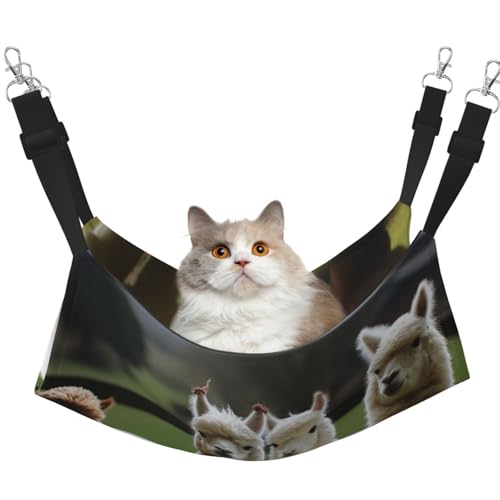 DDTKLSNV Atmungsaktive Sommer-Hängematte für Katzen, hängend, Haustierkäfig-Hängematte, Bett, verstellbar, weich, für Katzen, kleine Hunde, Kaninchen, Größe M DDTKLSNV Atmungsaktive Sommer-Hängematte für Katzen, hängend, Haustierkäfig-Hängematte, Bett, verstellbar, weich, für Katzen, kleine Hunde, Kaninchen, Größe M von DDTKLSNV