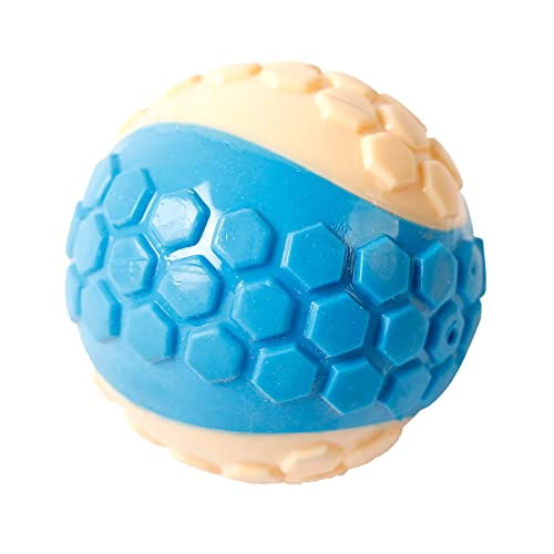 DDTNW Ballzahnen, Stimulation und Training | TRP-Material | Zubehör für kleine, mittelgroße und große Welpen und Erwachsene, blau von DDTNW