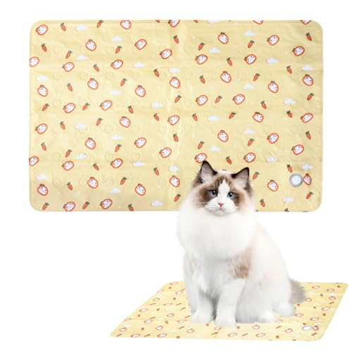 DEARBAG Kühlkissen für Hunde, Großes Kühlkissen (90 x 60 cm), Ungiftiges Gel, Selbstkühlendes Kissen, Recycelbar, Gel-Kühlkissen für Hunde und Katzen in Käfigen im Heißen Sommer Drinnen und Draußen von DEARBAG