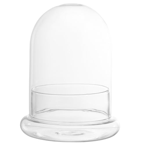 DEARMAMY Pflanzendekor 12 * 16 cm Große Glaskuppel Mit Glasboden Pflanzen-Terrarium-Abdeckung Antike Glasglocke Für Terrarium-Display Mikro-Landschaft Konservenblume Tischdekoration DEARMAMY Pflanzendekor 12 * 16 cm Große Glaskuppel Mit Glasboden Pflanzen-Terrarium-Abdeckung Antike Glasglocke Für Terrarium-Display Mikro-Landschaft Konservenblume Tischdekoration von DEARMAMY