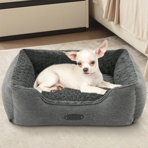 DEBANG HOME Extra kleines Hunde- und Katzenbett – Deluxe-Plüsch, bequem und langlebig, waschbar, rechteckig, rutschfeste Unterseite, Größe 48,3 x 40,6 cm, Grau DEBANG HOME Extra kleines Hunde- und Katzenbett – Deluxe-Plüsch, bequem und langlebig, waschbar, rechteckig, rutschfeste Unterseite, Größe 48,3 x 40,6 cm, Grau von DEBANG HOME