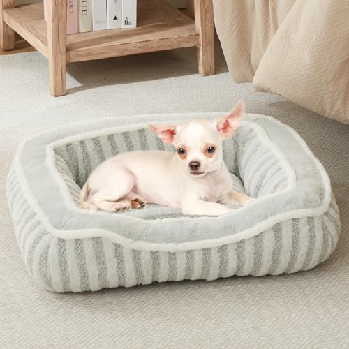 DEBANG HOME Hundebett für extra kleine Hunderassen, Katzenbett, Welpenhütte mit Kissen, waschbares Deluxe-Plüsch-Hundekäfigbett, bequem, langlebig, rechteckig, Haustier-Schlafbett und rutschfeste DEBANG HOME Hundebett für extra kleine Hunderassen, Katzenbett, Welpenhütte mit Kissen, waschbares Deluxe-Plüsch-Hundekäfigbett, bequem, langlebig, rechteckig, Haustier-Schlafbett und rutschfeste von DEBANG HOME