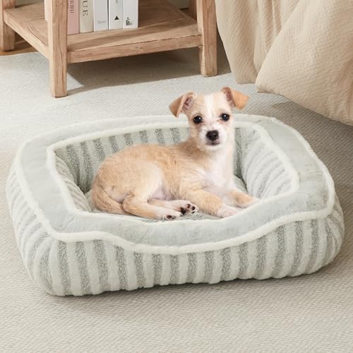 DEBANG HOME Hundebett für kleine Hunderassen, Katzenbett, weiches Hundehüttenbett mit Kissen, waschbar, Deluxe-Plüsch-Hundekäfig-Betten, bequem, langlebig, rechteckig, rutschfeste Unterseite, Grau (61 von DEBANG HOME