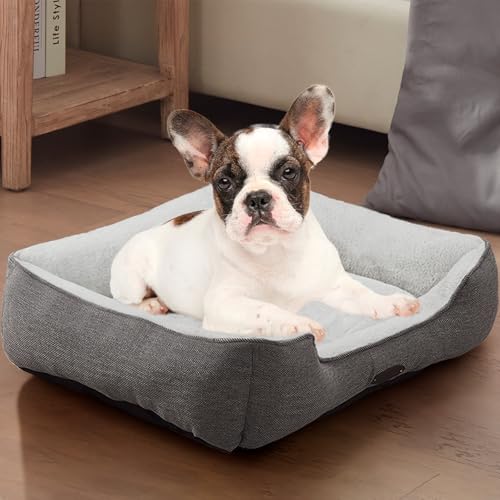 DEBANG HOME Hundebett für mittelgroße Hunde, Katzenbett, beruhigendes Hundebett, bequem, langlebig, mit wendbarem und waschbarem Kissen, Grau (M, Grau) von DEBANG HOME