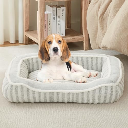 DEBANG HOME Hundebett für mittelgroße Hunderassen, rechteckiges, weiches Hundehüttenbett, waschbar, Deluxe-Plüsch-Hundebox-Betten, bequem, langlebig, Haustier-Schlafbett mit Kissen und rutschfester DEBANG HOME Hundebett für mittelgroße Hunderassen, rechteckiges, weiches Hundehüttenbett, waschbar, Deluxe-Plüsch-Hundebox-Betten, bequem, langlebig, Haustier-Schlafbett mit Kissen und rutschfester von DEBANG HOME