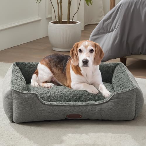 DEBANG HOME Hundebett für mittelgroße Hunderassen, rechteckiges, weiches Hundehüttenbett, waschbar, Deluxe-Plüsch-Hundebox-Betten, bequem, langlebig, Haustier-Schlafbett mit Kissen und rutschfester DEBANG HOME Hundebett für mittelgroße Hunderassen, rechteckiges, weiches Hundehüttenbett, waschbar, Deluxe-Plüsch-Hundebox-Betten, bequem, langlebig, Haustier-Schlafbett mit Kissen und rutschfester von DEBANG HOME