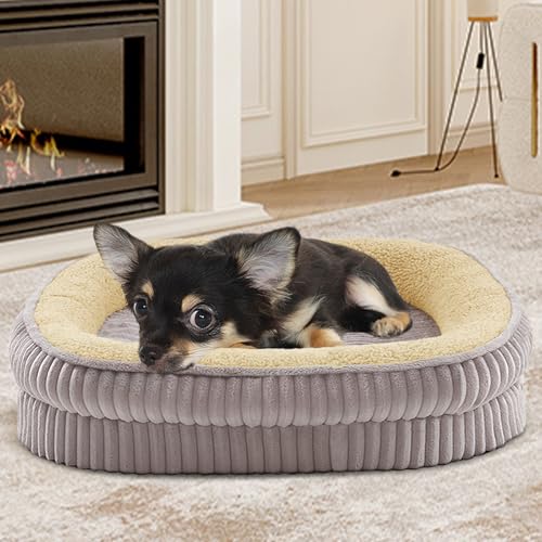 DEBANG HOME Orthopädisches Hundebett für Welpen, extra kleine Hunderassen, ovales Katzenbett, hochdichtes Schaumstoff-Hundesofa, Haustier-Couch-Bett mit vierseitiger Nackenrolle, Abnehmbarer, von DEBANG HOME