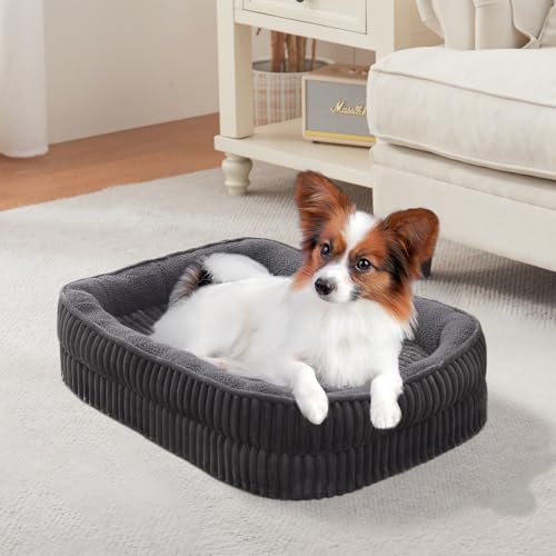 DEBANG HOME Orthopädisches Hundebett für Welpen, extra kleine Hunderassen, ovales Katzenbett, hochdichtes Schaumstoff-Hundesofa, Haustier-Couch-Bett mit vierseitiger Nackenrolle, abnehmbarer DEBANG HOME Orthopädisches Hundebett für Welpen, extra kleine Hunderassen, ovales Katzenbett, hochdichtes Schaumstoff-Hundesofa, Haustier-Couch-Bett mit vierseitiger Nackenrolle, abnehmbarer von DEBANG HOME