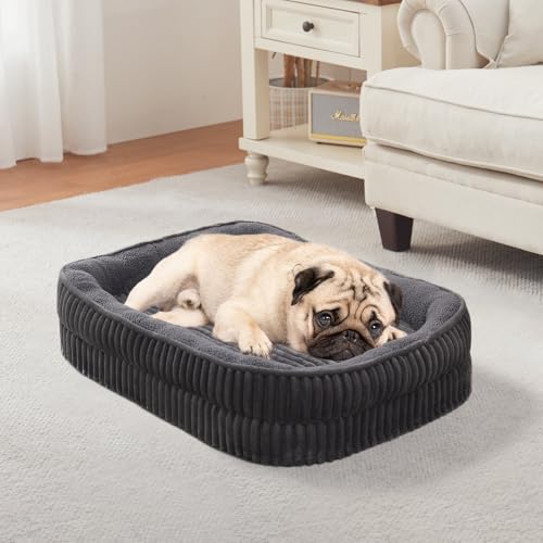 DEBANG HOME Orthopädisches Hundebett für kleine Hunderassen, hochdichtes Schaumstoff-Hundesofa, ovales Hundebett, Haustier-Couch-Bett mit vierseitiger Nackenrolle, abnehmbarem, waschbarem Bezug und DEBANG HOME Orthopädisches Hundebett für kleine Hunderassen, hochdichtes Schaumstoff-Hundesofa, ovales Hundebett, Haustier-Couch-Bett mit vierseitiger Nackenrolle, abnehmbarem, waschbarem Bezug und von DEBANG HOME