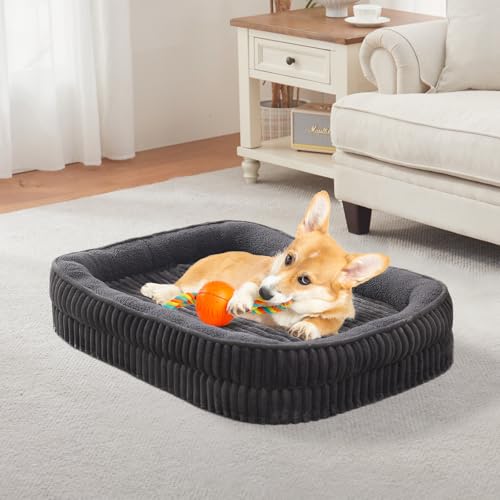 DEBANG HOME Orthopädisches Hundebett für mittelgroße Hunderassen, hochdichtes Schaumstoff-Hundesofa, ovales Hundebett, Haustier-Couch-Bett mit vierseitiger Nackenrolle, abnehmbarem, waschbarem Bezug von DEBANG HOME