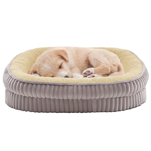 DEBANG HOME Orthopädisches Hundebett für Welpen, extra kleine Hunderassen, ovales Katzenbett, hochdichtes Schaumstoff-Hundesofa, Haustier-Couch-Bett mit vierseitiger Nackenrolle, abnehmbarer, DEBANG HOME Orthopädisches Hundebett für Welpen, extra kleine Hunderassen, ovales Katzenbett, hochdichtes Schaumstoff-Hundesofa, Haustier-Couch-Bett mit vierseitiger Nackenrolle, abnehmbarer, von DEBANG HOME