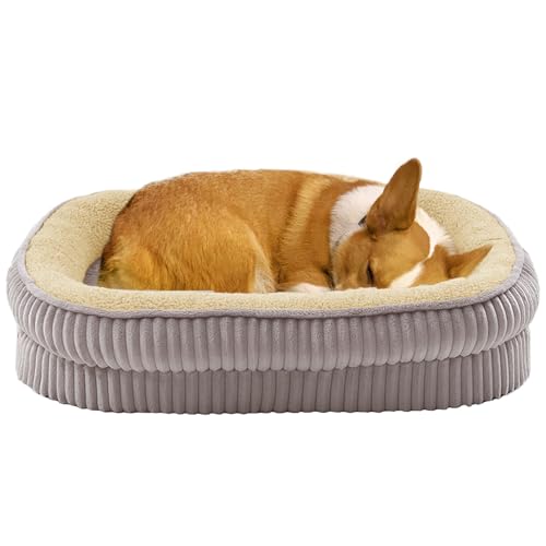 Orthopädisches Hundebett für kleine Hunderassen, stützendes Schaumstoff-Hundesofa, ovales Hundebett, Haustier-Couch-Bett mit abnehmbarem, waschbarem Bezug und rutschfester Unterseite Orthopädisches Hundebett für kleine Hunderassen, stützendes Schaumstoff-Hundesofa, ovales Hundebett, Haustier-Couch-Bett mit abnehmbarem, waschbarem Bezug und rutschfester Unterseite von DEBANG HOME