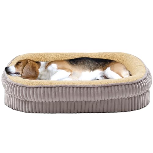 DEBANG HOME Orthopädisches Hundebett für mittelgroße Hunderassen, hochdichtes Schaumstoff-Hundesofa, ovales Hundebett, Haustier-Couch-Bett mit vierseitiger Nackenrolle, abnehmbarem, waschbarem Bezug DEBANG HOME Orthopädisches Hundebett für mittelgroße Hunderassen, hochdichtes Schaumstoff-Hundesofa, ovales Hundebett, Haustier-Couch-Bett mit vierseitiger Nackenrolle, abnehmbarem, waschbarem Bezug von DEBANG HOME