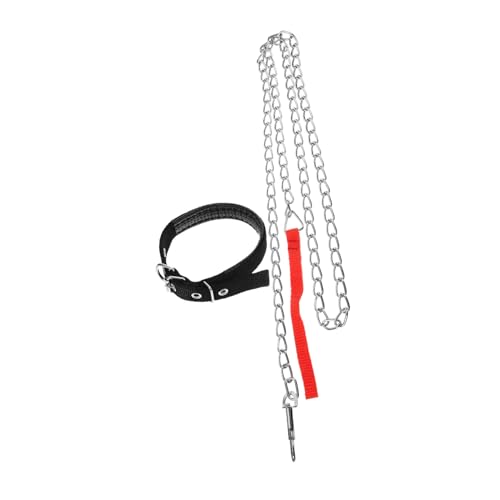 DECHOUS 2 Stück Teiliges Hundehalsband Set mit Strapazierfähiger Eisenkette Verstellbares Hundehalsband für Kleine Hunde Schwarz Geeignet für Spaziergänge und Outdoor Sport mit Haustieren von DECHOUS
