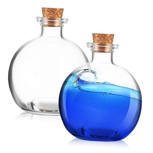 DECHOUS 2Stücke Glasflaschen Mit Terrarium Behälter Für Pflanzen Und Moos Dekorative Glasterrarien von DECHOUS