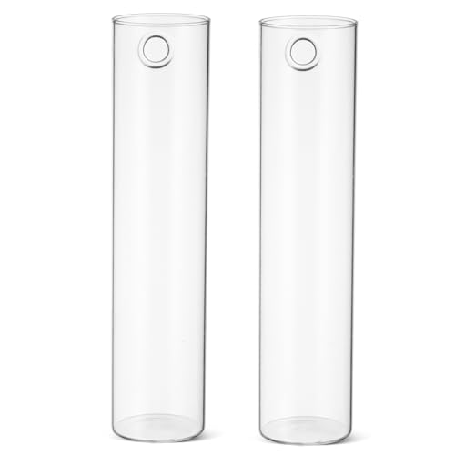 DECHOUS 2stücke Zylindrische Glas-wandvasen Für Pflanzen Hängende Glasröhren-wandpflanzgefäße Wanddekoration Für Zimmerpflanzen von DECHOUS
