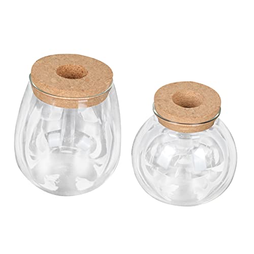 DECHOUS 4 Stück Querformat Flaschen Tischaufsatz Für Hydroponische Glaspflanzen Terrarienständer Blumenzwiebelvasen Glas Pflanzgefäße Terrarium Minivasen Einfache Glasflaschen von DECHOUS