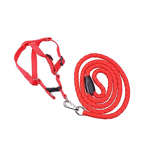 DECHOUS Einstellbares Traktionsseil Für Strapazierfähiges Leuchtendem Rot XXL Für Outdoor Aktivitäten Und Haustierbedarf Für von DECHOUS