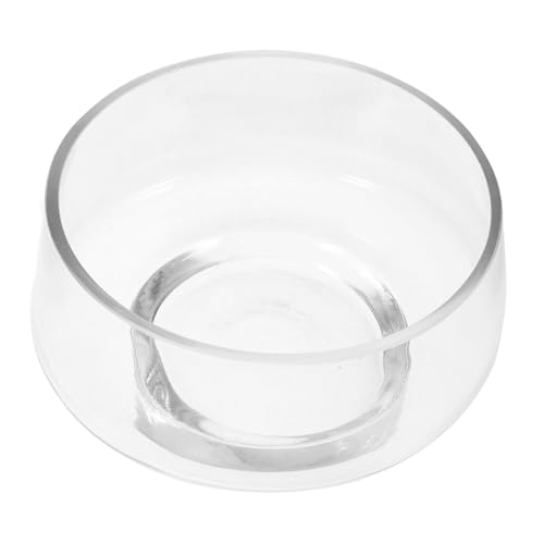 DECHOUS Glasvase Für Hydrokultur Vase Dekorative Blumenvase Für Wasserpflanzen Für Tischdeko Bei Hochzeiten Partys Und Veranstaltungen von DECHOUS